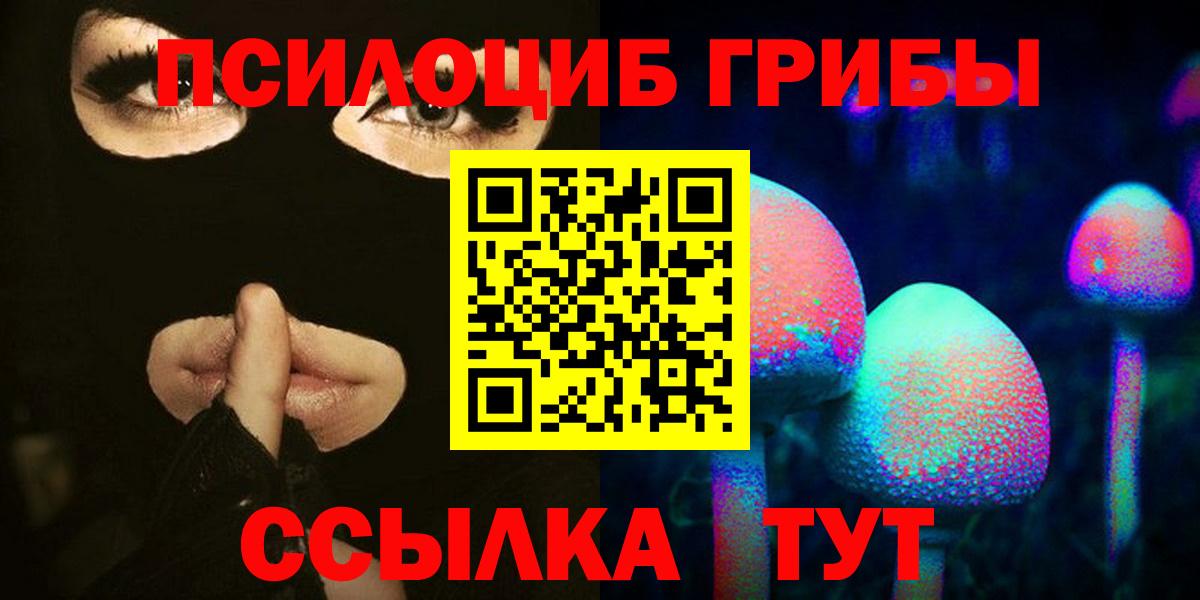Псилоцибиновые грибы GOLDEN TEACHER Кострома